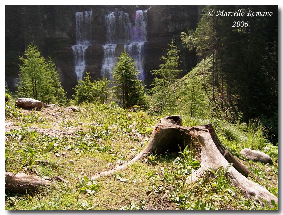 Insetti del Parco Adamello Brenta (TN): immagini e appunti